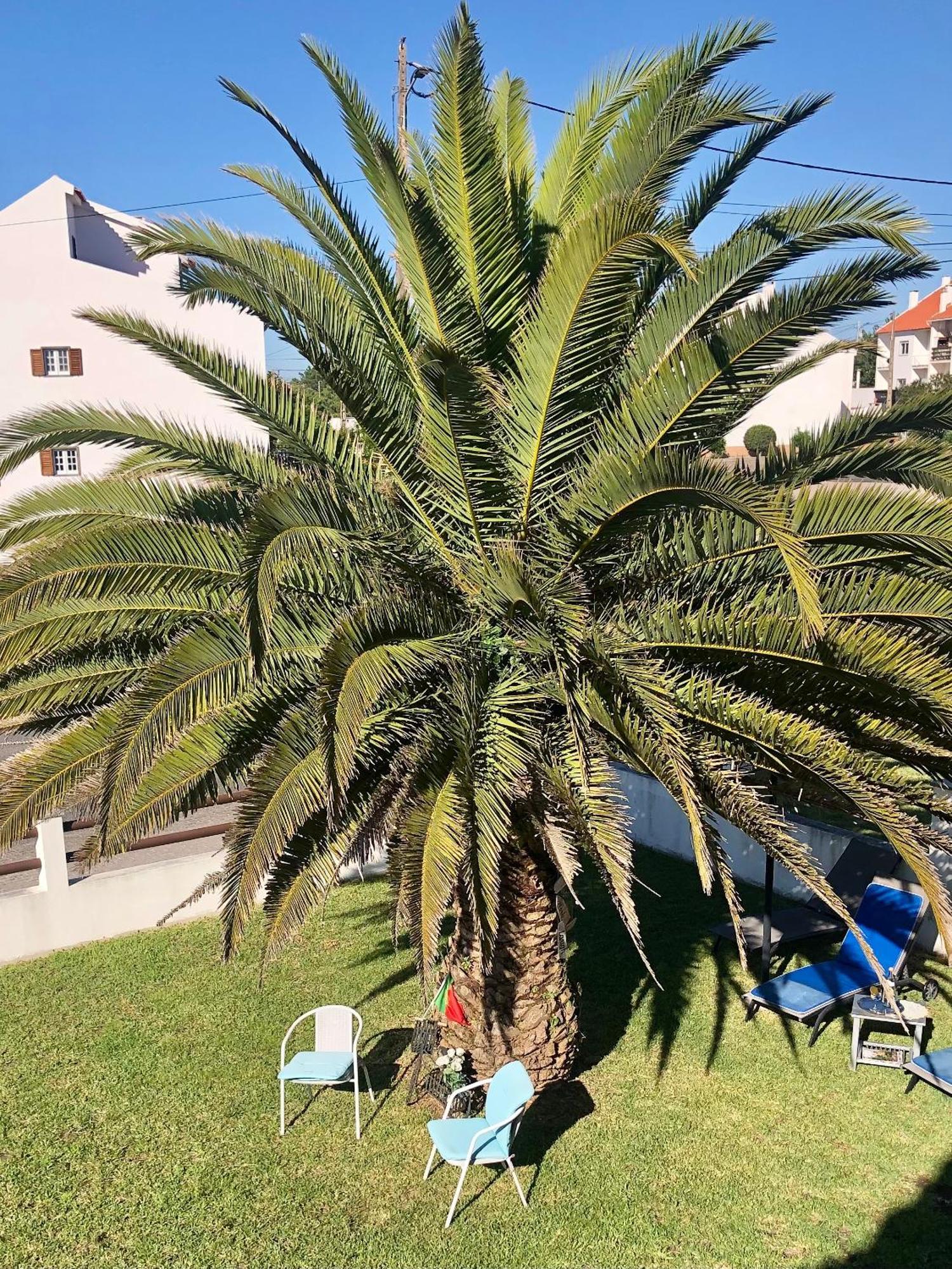 Alojamento Santa Helena Villa A dos Cunhados Exteriör bild